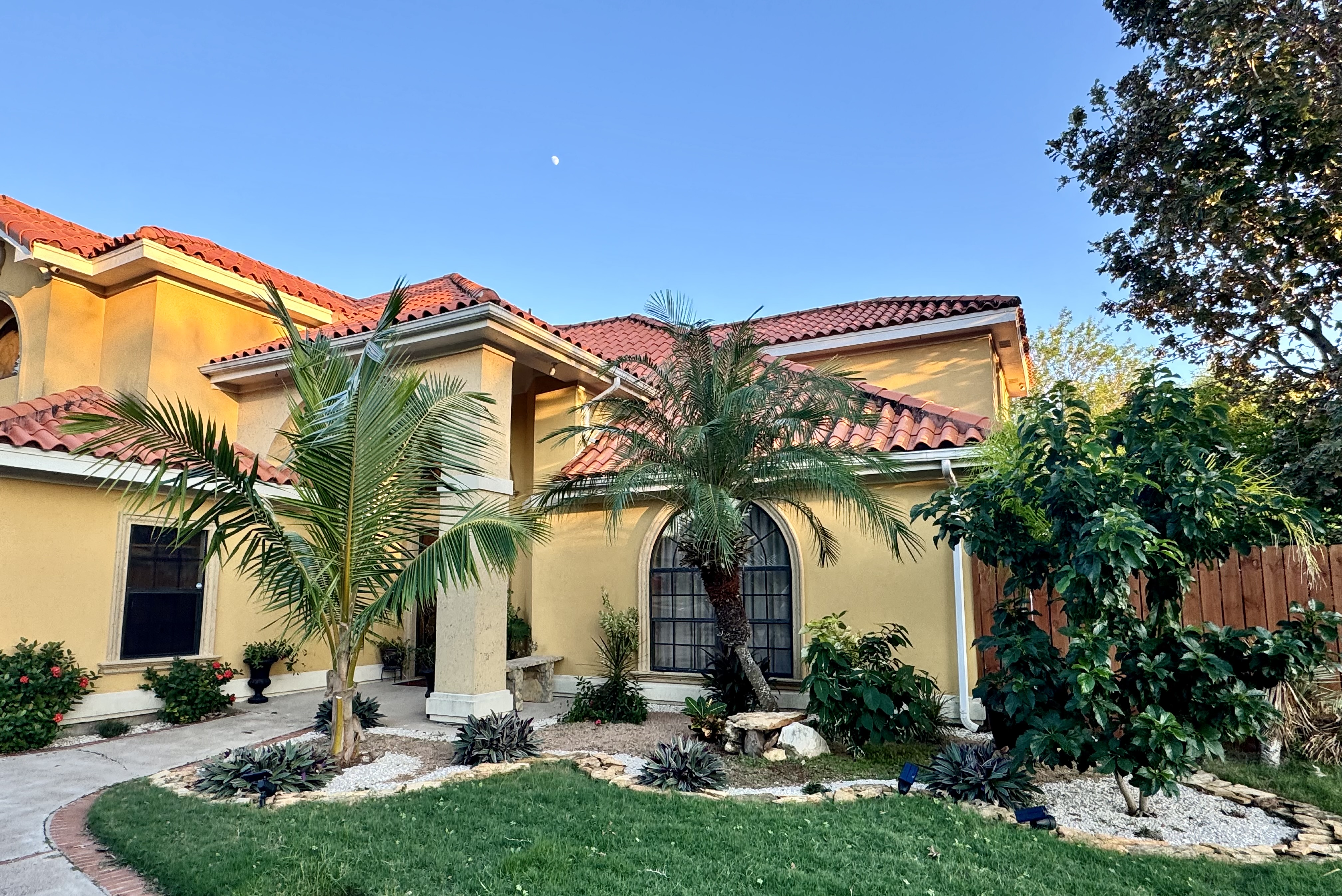 Custom tropical landscaping with palms, stone accents, and manicured lawn — Texas Land Creations