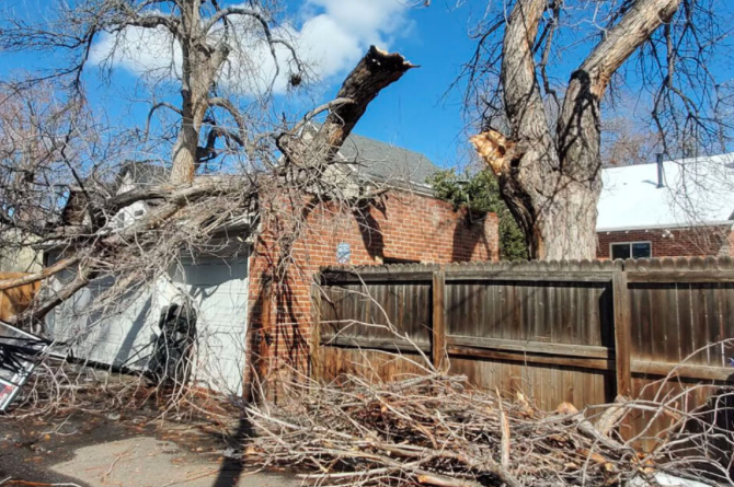 Emergency tree removal — storm-damaged tree on a residential property